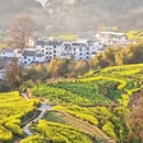 黄山旅游 缩略图 2