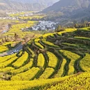 黄山旅游 缩略图 4