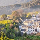 黄山旅游 缩略图 7
