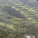 黄山旅游 缩略图 8