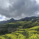 黄山旅游 缩略图 8