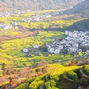 黄山旅游 缩略图 6