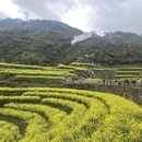 黄山旅游 缩略图 6