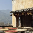 黄山旅游 缩略图 3