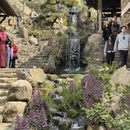 黄山旅游 缩略图 2