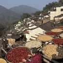 黄山旅游 缩略图 6