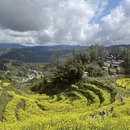 黄山旅游 缩略图 5