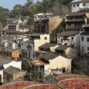 黄山旅游 缩略图 8