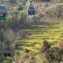 黄山旅游 缩略图 12