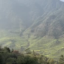 黄山旅游 缩略图 11