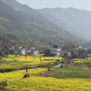 黄山旅游 缩略图 15