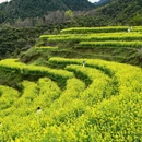 黄山旅游 缩略图 2