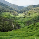 黄山旅游 缩略图 9
