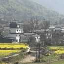 黄山旅游 缩略图 14