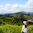 黄山旅游 缩略图 6