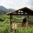 黄山旅游 缩略图 12