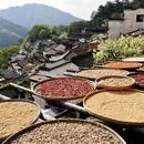 黄山旅游 缩略图 15