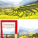 黄山旅游 缩略图 1