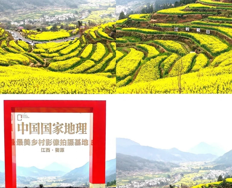 黄山旅游 1