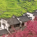 上饶旅游 缩略图 2