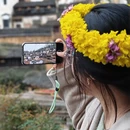 黄山旅游 缩略图 7