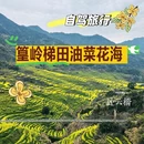 黄山旅游 缩略图 1