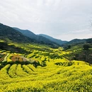 黄山旅游 缩略图 6