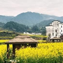 黄山旅游 缩略图 14