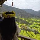 黄山旅游 缩略图 11