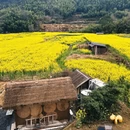 黄山旅游 缩略图 15