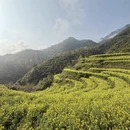 黄山旅游 缩略图 1