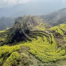 黄山旅游 缩略图 3