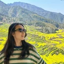 黄山旅游 缩略图 3
