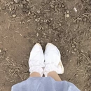 黄山旅游 缩略图 2