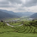 黄山旅游 缩略图 5