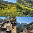 黄山旅游 缩略图 1