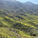 黄山旅游 缩略图 6