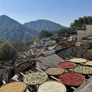 黄山旅游 缩略图 7
