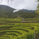 黄山旅游 缩略图 1