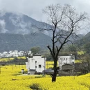 黄山旅游 缩略图 6