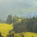 黄山旅游 缩略图 8
