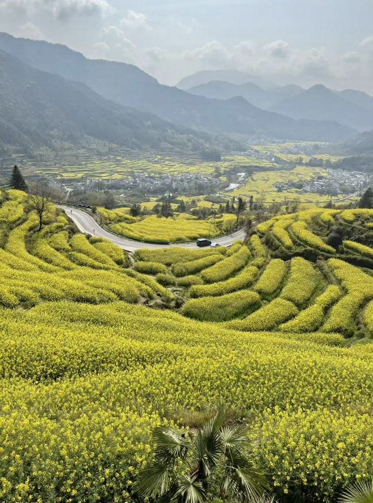 黄山旅游