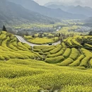 黄山旅游 缩略图 1
