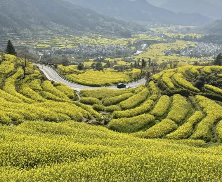 黄山旅游 1