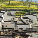 黄山旅游 缩略图 12