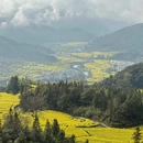 黄山旅游 缩略图 7
