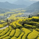 黄山旅游 缩略图 14