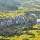 黄山旅游 缩略图 17