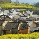 黄山旅游 缩略图 11