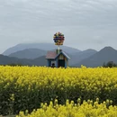 黄山旅游 缩略图 9